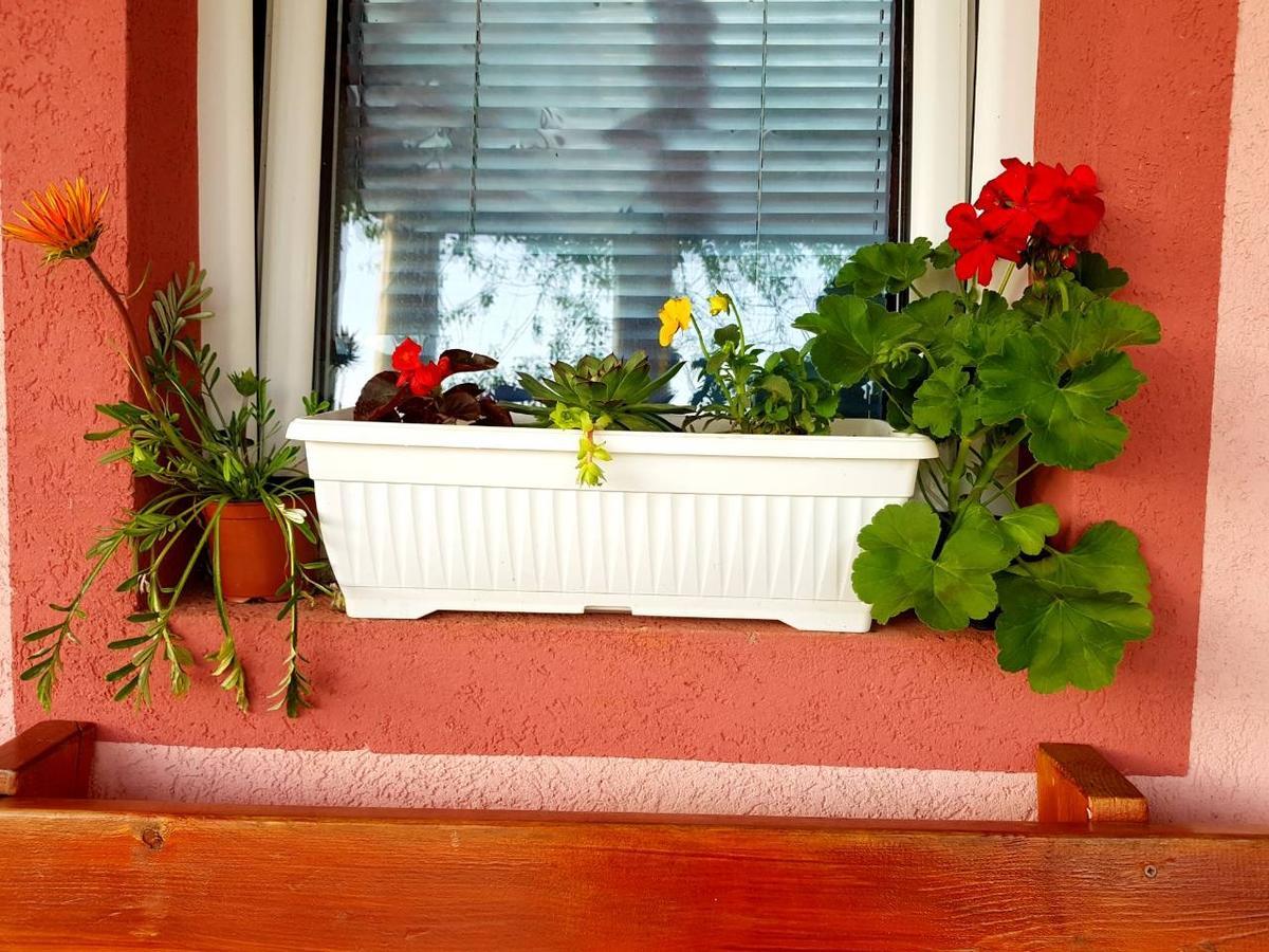 Holiday Village Ostrog Никшич Экстерьер фото